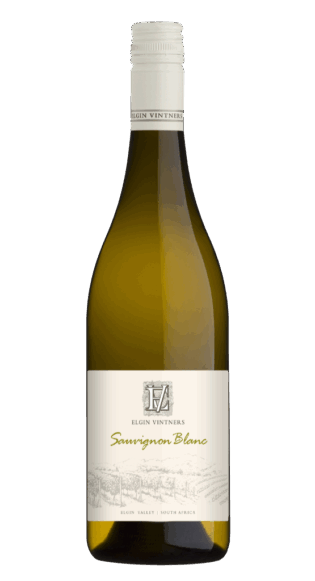 Sauvignon Blanc 2023