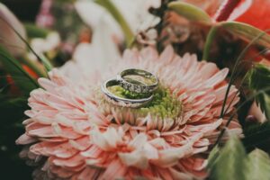 Rings_640x427
